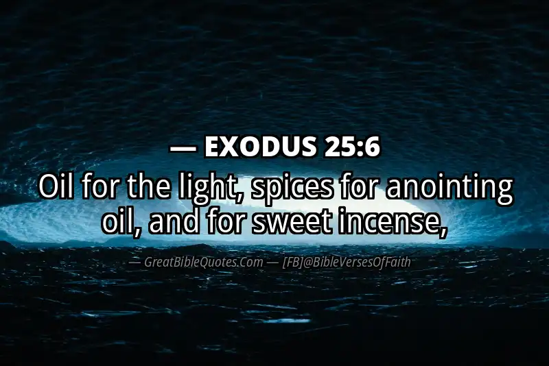 EXODUS 25:6 Verse