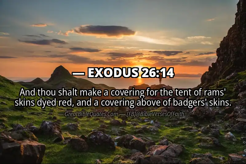 EXODUS 26:14 Verse
