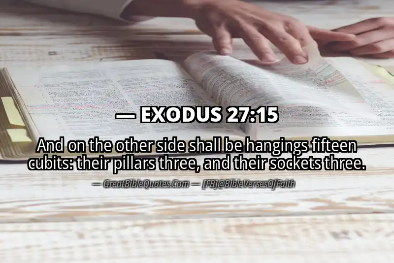 EXODUS 27:15 Verse