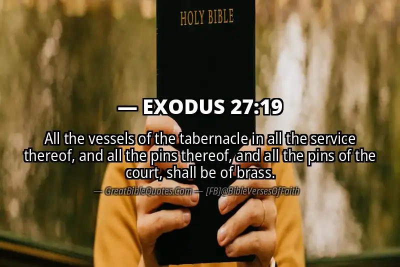 EXODUS 27:19 Verse