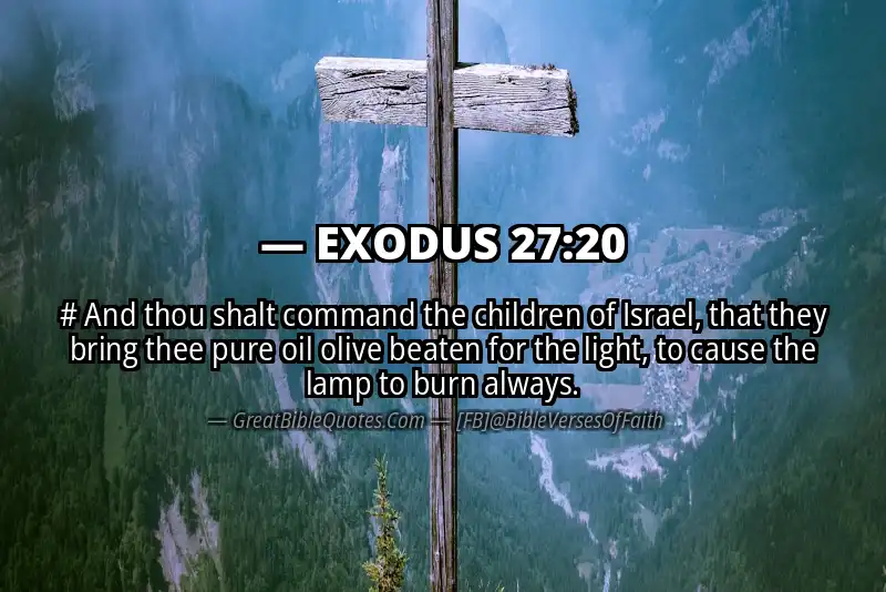 EXODUS 27:20 Verse
