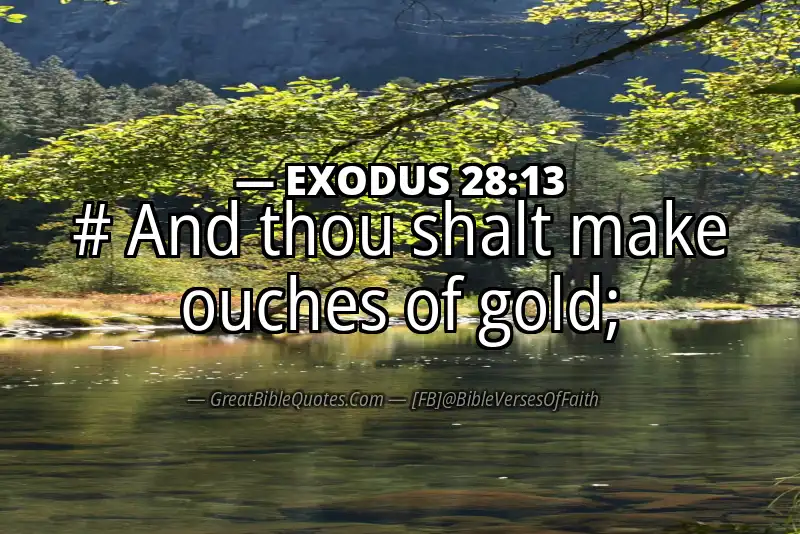EXODUS 28:13 Verse