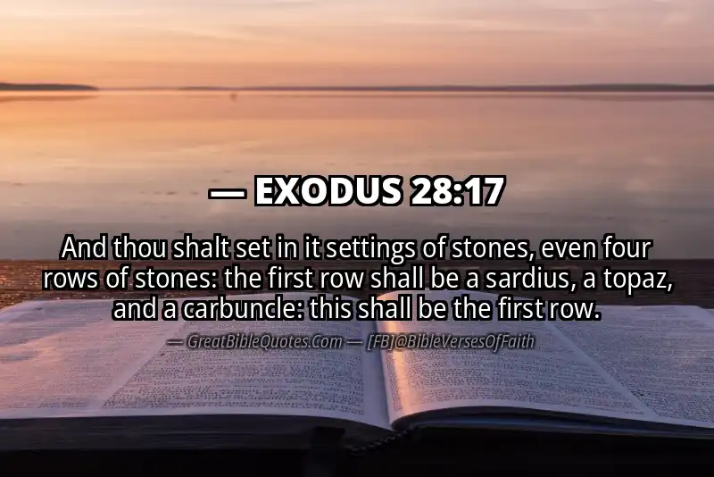 EXODUS 28:17 Verse Image