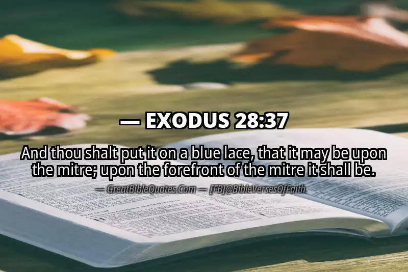 EXODUS 28:37 Verse