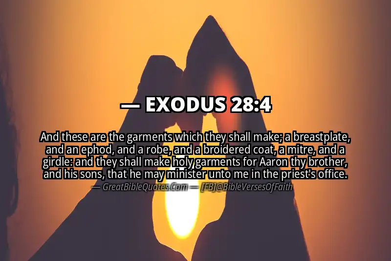 EXODUS 28:4 Verse