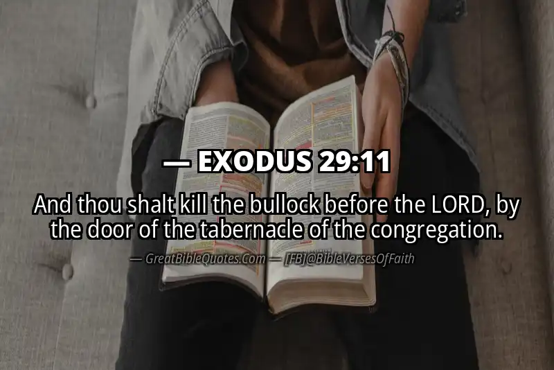 EXODUS 29:11 Verse