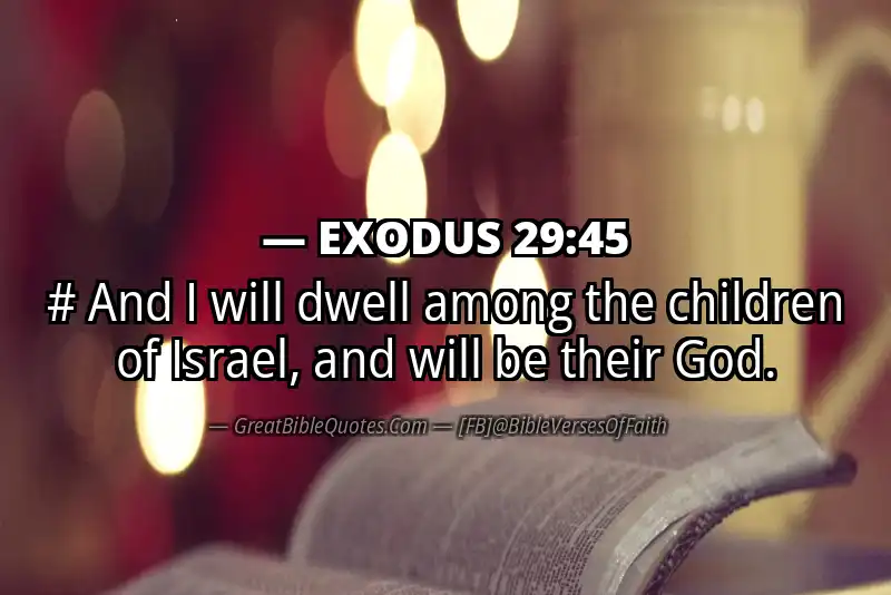 EXODUS 29:45 Verse
