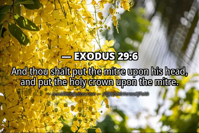 EXODUS 29:6 Verse