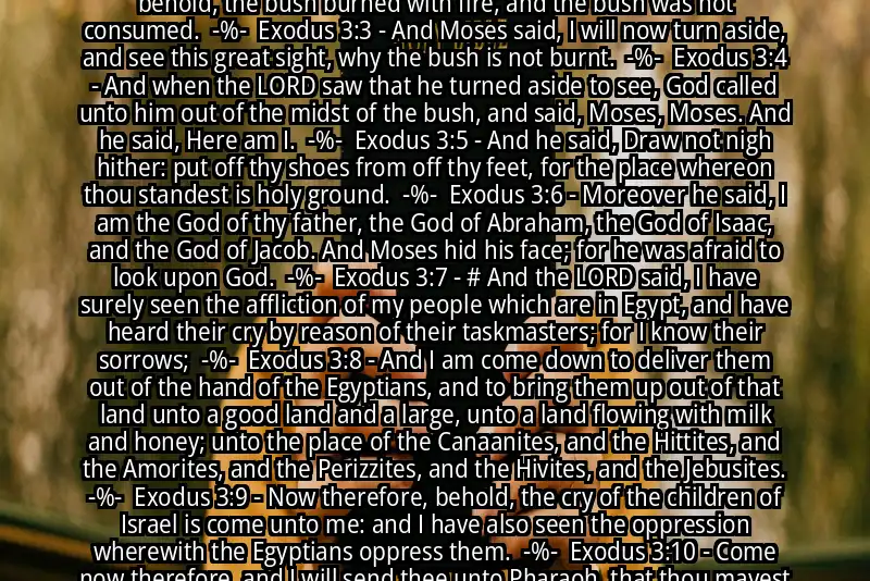 Image for EXODUS 3:1-10 Bible verse