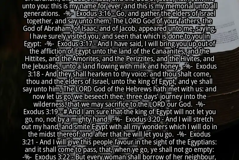 Image for EXODUS 3:13-22 Bible verse