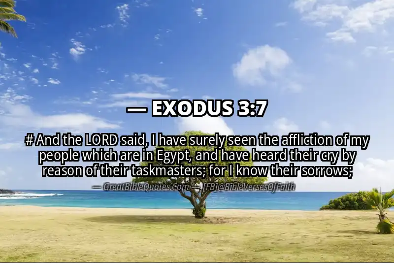 EXODUS 3:7 Verse