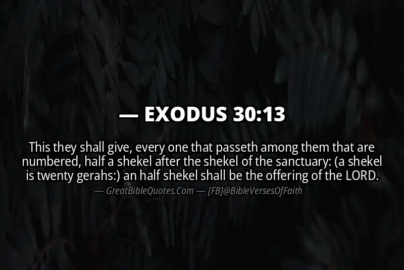 EXODUS 30:13 Verse