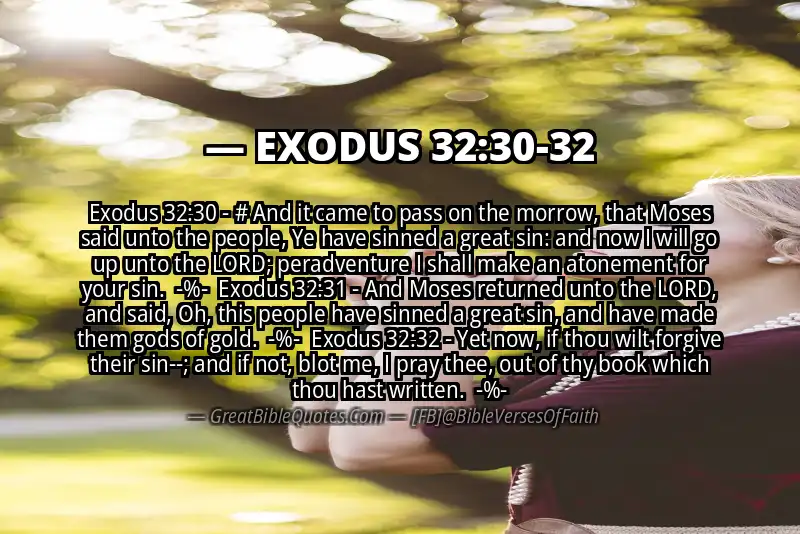 Image for EXODUS 32:30-32 Bible verse