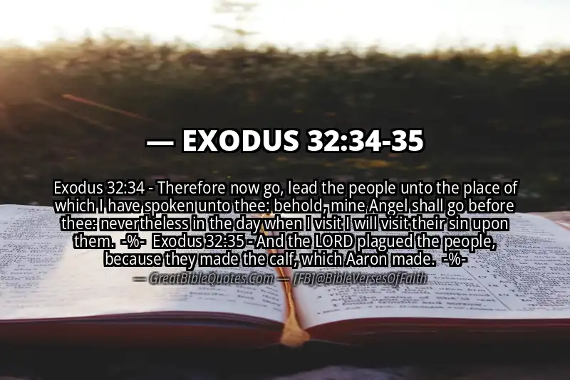 Image for EXODUS 32:34-35 Bible verse