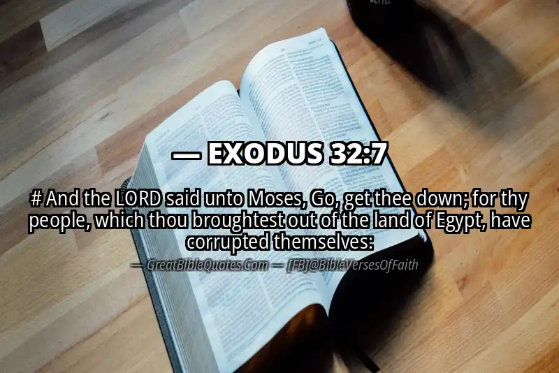EXODUS 32:7 Verse