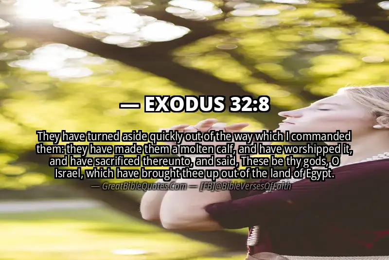 EXODUS 32:8 Verse Image