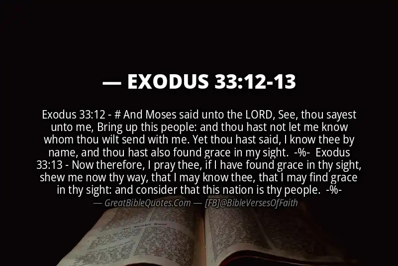 Image for EXODUS 33:12-13 Bible verse