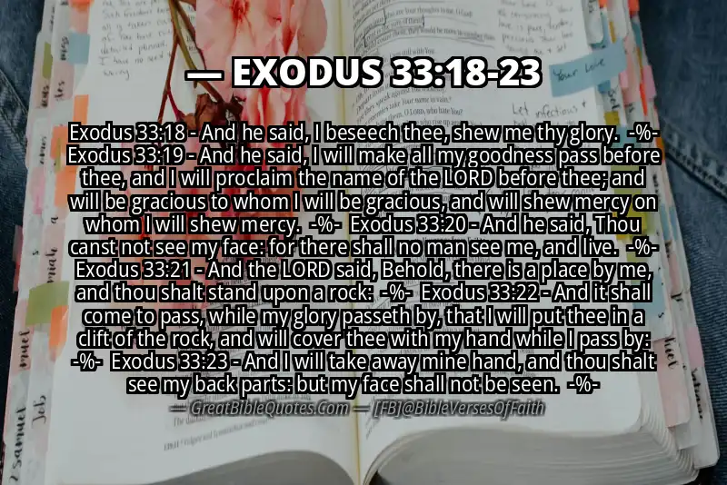Image for EXODUS 33:18-23 Bible verse