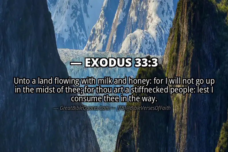EXODUS 33:3 Verse