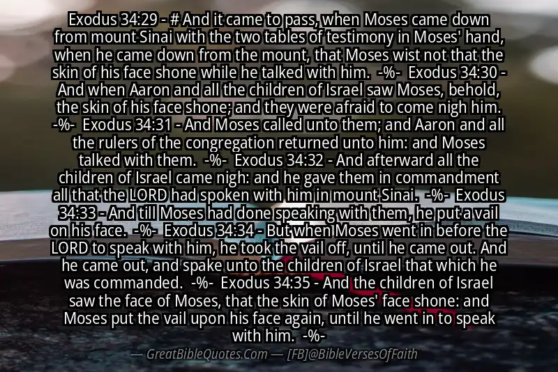 Image for EXODUS 34:29-35 Bible verse