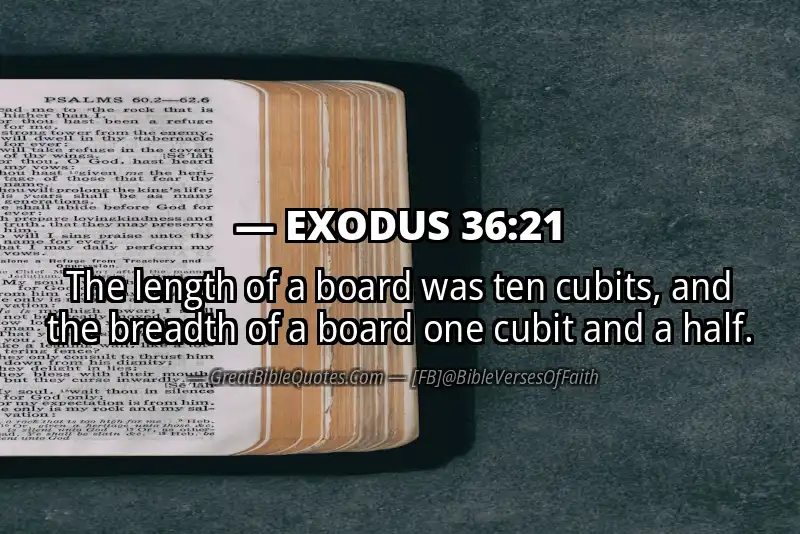 EXODUS 36:21 Verse Image