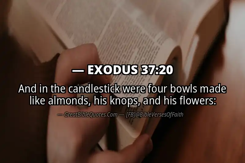 EXODUS 37:20 Verse
