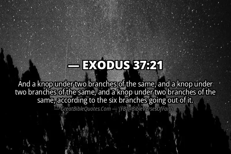 EXODUS 37:21 Verse