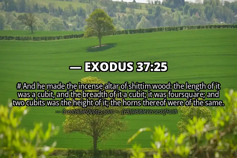 EXODUS 37:25 Verse