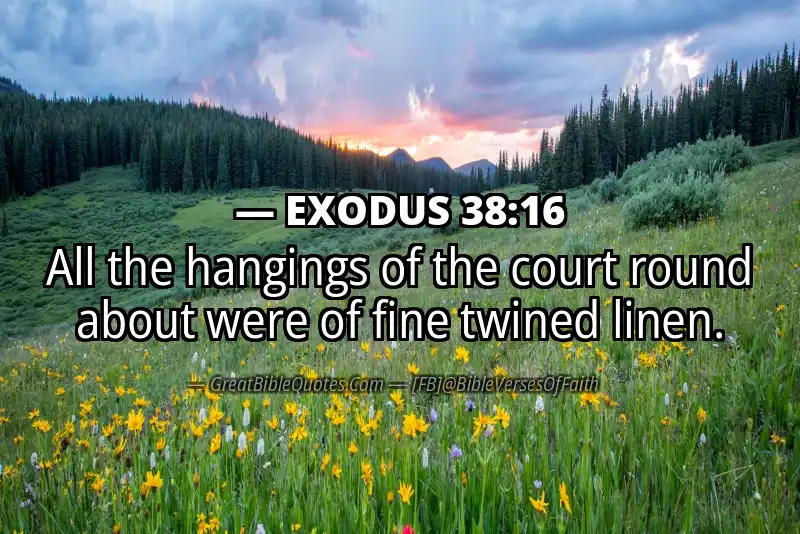 EXODUS 38:16 Verse