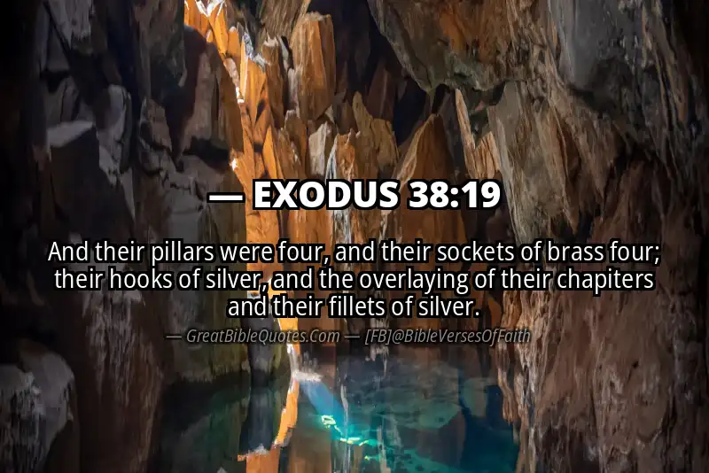 EXODUS 38:19 Verse
