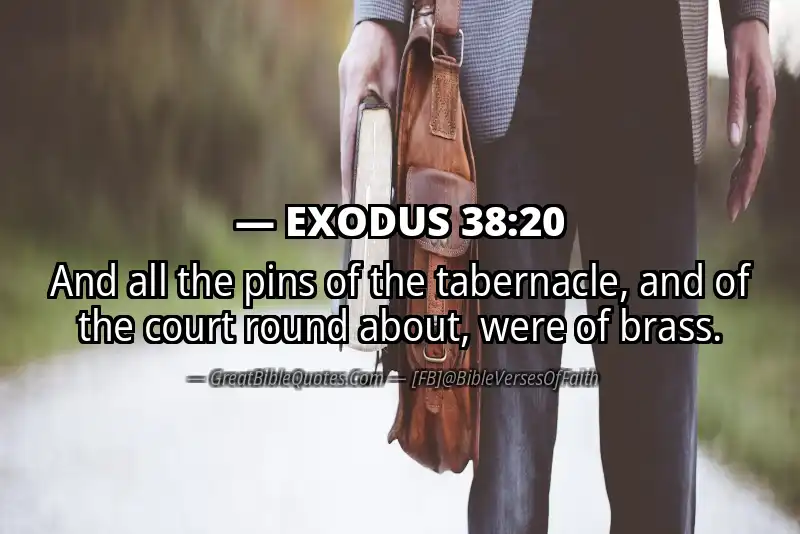 EXODUS 38:20 Verse
