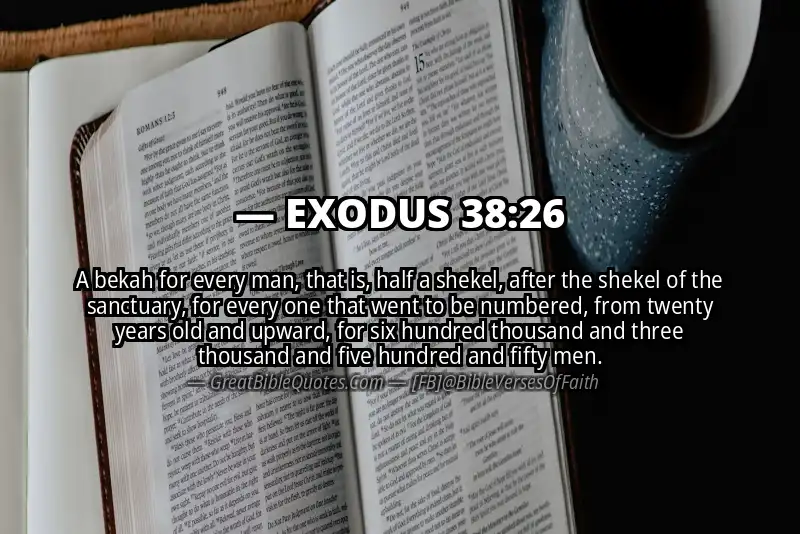EXODUS 38:26 Verse