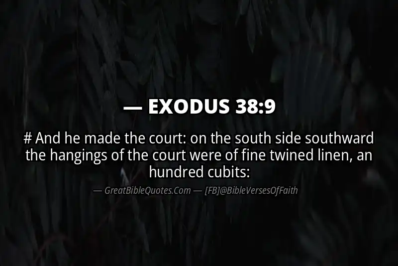 EXODUS 38:9 Verse