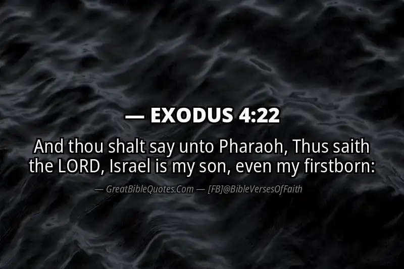 EXODUS 4:22 Verse
