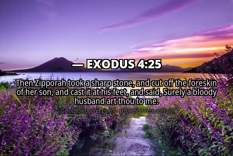 EXODUS 4:25 Verse