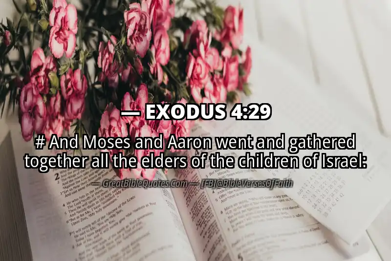 EXODUS 4:29 Verse