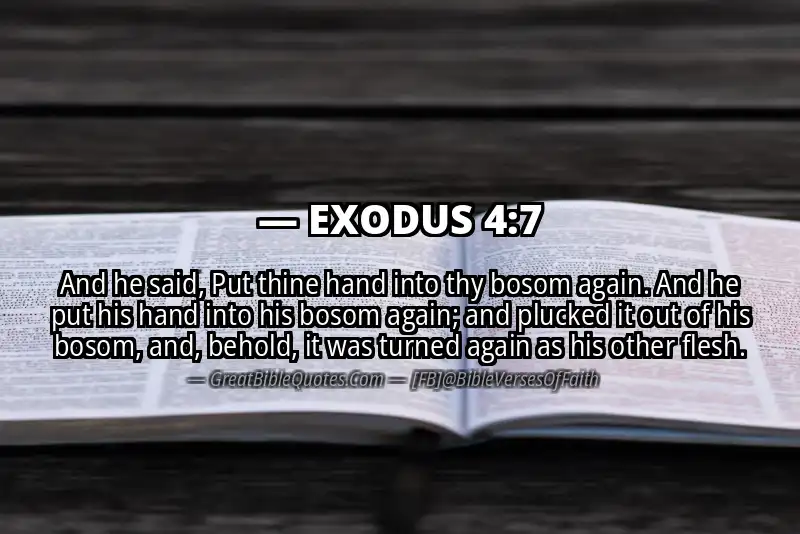 EXODUS 4:7 Verse