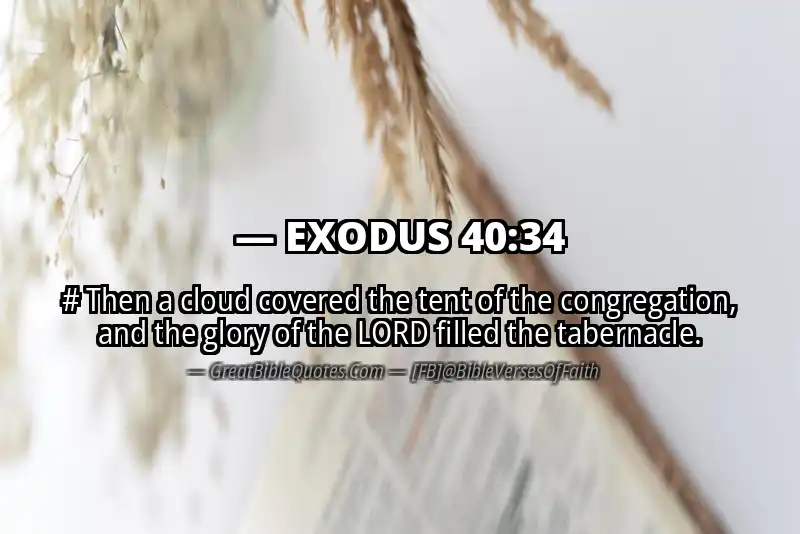 EXODUS 40:34 Verse