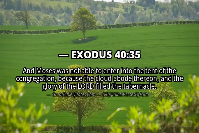 EXODUS 40:35 Verse Image