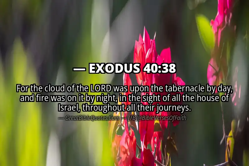 EXODUS 40:38 Verse