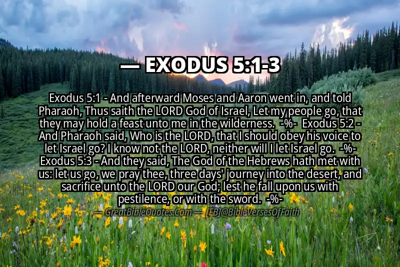 Image for EXODUS 5:1-3 Bible verse