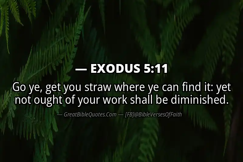 EXODUS 5:11 Verse