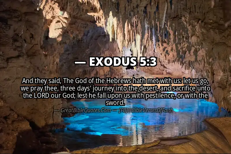 EXODUS 5:3 Verse