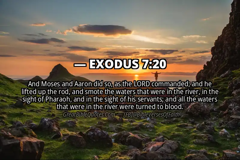 EXODUS 7:20 Verse