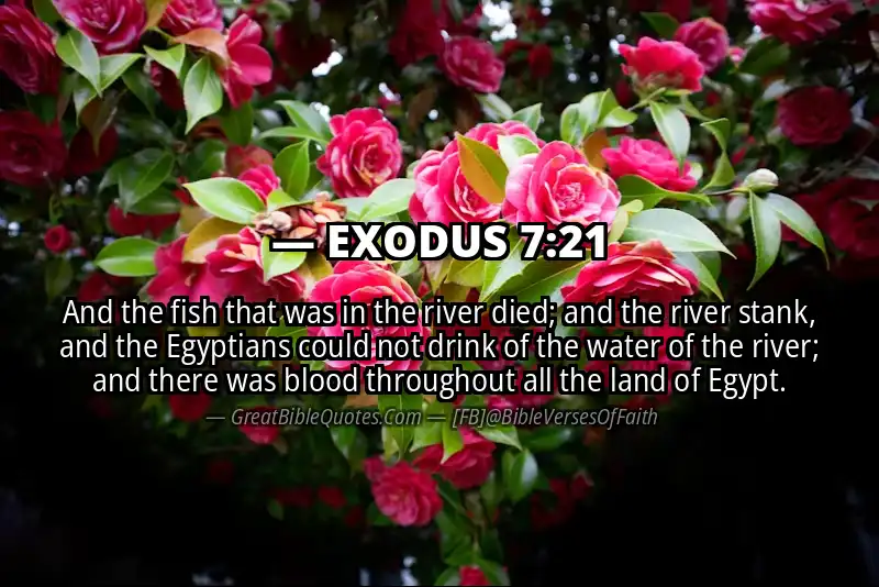 EXODUS 7:21 Verse