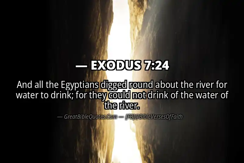 EXODUS 7:24 Verse