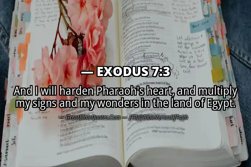 EXODUS 7:3 Verse