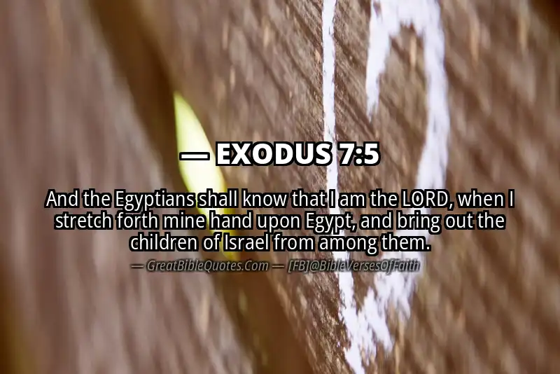EXODUS 7:5 Verse