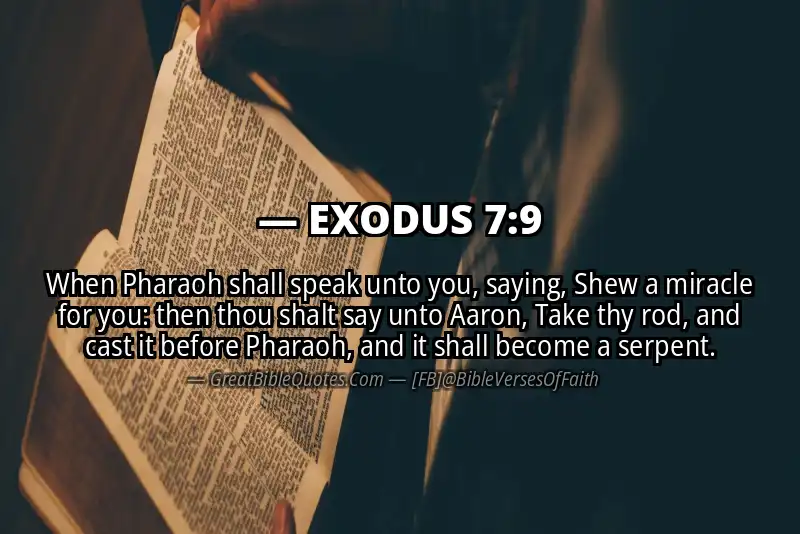 EXODUS 7:9 Verse