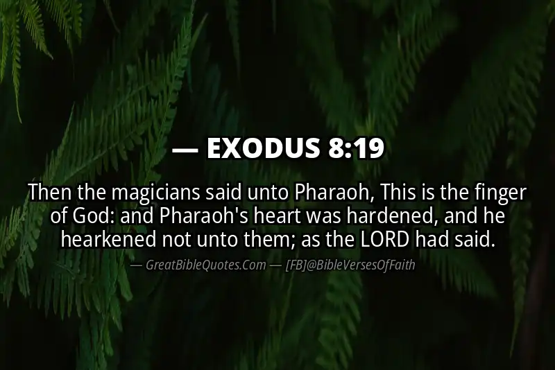 EXODUS 8:19 Verse